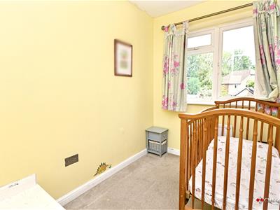 Picture 14